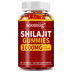 Shilajit Gummies - Stress relief, brain health, balance blood pressure, blood sugar and anti-aging, urinary tract problems.